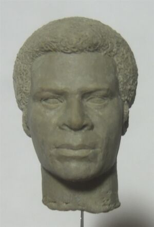 Joy and Tom Studios - Tigh Head Sculpt - Unpainted - 3.jpg