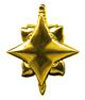 Star-shaped insignia
