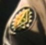A variant of Galactica's patch, seen on a Gemonese man that Starbuck is playing against in "Saga of a Star World".