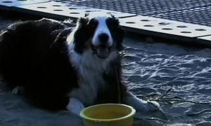 Jake and bowl.jpg
