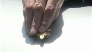 TRS - Act of Contrition - Lee Places Flight Wings on Zak's Casket.jpg