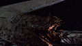 Thumbnail for version as of 18:39, 8 May 2010