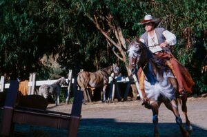 TOS - The Lost Warrior - Equinus.jpg
