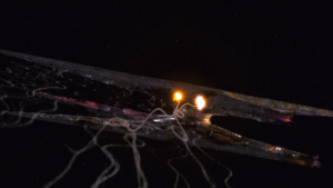 Rebel Basestar Hit Battle of Resurrection Hub.png