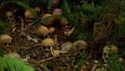 Thumbnail for File:Remains on Kobol, Valley of Darkness.jpg