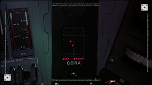 Cora.jpg