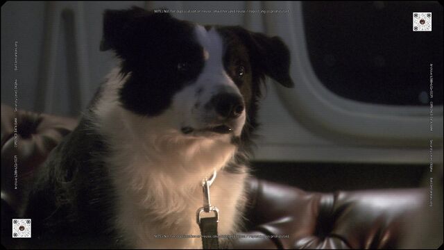 File:Jake c1.jpg