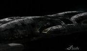 Thumbnail for File:Collaborators - Battle Scars.jpg