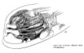 Thumbnail for version as of 14:07, 28 July 2006