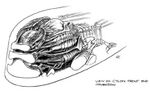 Thumbnail for File:Brain4.jpg