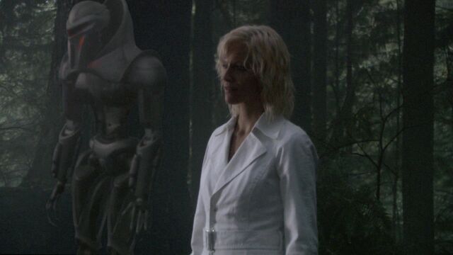 File:Whiterainsix 33.JPG