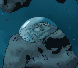 BSG 2014 Annual - Cygnus.png