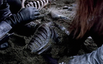 Thumbnail for File:Earth Cylon.png