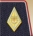 Thumbnail for version as of 03:31, 25 April 2009