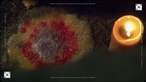 TRS - Maelstrom - Mandala in Wax - 1239.jpg