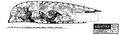 Thumbnail for version as of 13:20, 28 July 2006