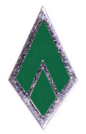 Insignia Sergeant First Class.jpg