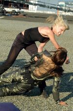 Thumbnail for File:Sixsharonlitmus.jpg