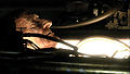 Thumbnail for version as of 21:36, 12 December 2007