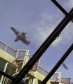 Thumbnail for version as of 22:07, 19 May 2006