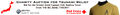 Thumbnail for version as of 17:42, 29 March 2011