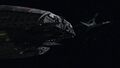 Thumbnail for version as of 01:24, 15 January 2024