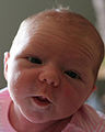 Thumbnail for version as of 18:23, 16 August 2007