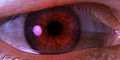 Thumbnail for version as of 17:12, 4 April 2008