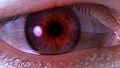 Thumbnail for version as of 15:03, 26 April 2008