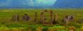 Thumbnail for version as of 04:42, 12 September 2006