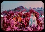 Thumbnail for File:Red planet effect.jpg