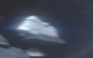 White ship.png