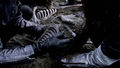 Thumbnail for version as of 20:35, 13 March 2009