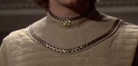 Thumbnail for File:Beige neck piece 1.jpg