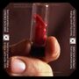 Thumbnail for File:Caprica - The Dirteaters - Kapi.jpg