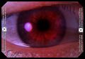 Thumbnail for version as of 00:47, 17 February 2026