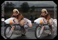 Thumbnail for version as of 22:16, 20 November 2024