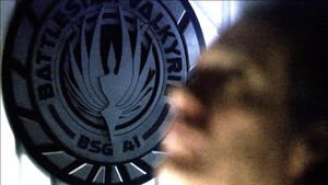 3x8-Adama-and-Valkyrie-insignia.jpg