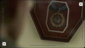 Medal of Valor 2.jpg