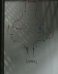 Thumbnail for File:Diagram2.jpg