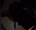 Thumbnail for File:Pegasus helmet decoration.jpg