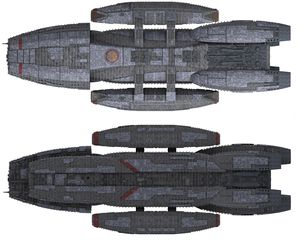 BSG Ortho Top & Bottom.jpg