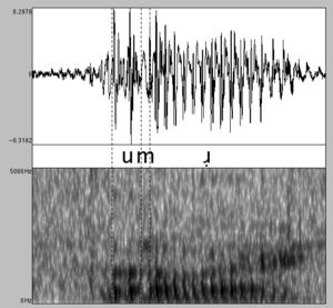Boomer-spectrogram.png