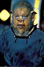 Thumbnail for File:Boray.jpg