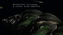 Bsg-botanical-cruiser-01.jpg