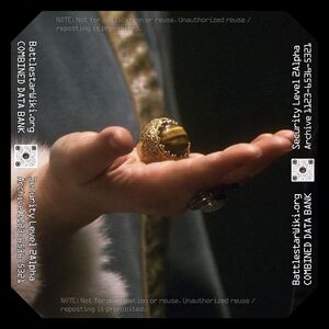 CAP - The Heavens Will Rise - Obal Ferras' Ring.jpg