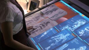 Caprica - Things We Lock Away - Zoe's Cylon Drawings and Daniel's Subsequent Cylon Concepts.jpg
