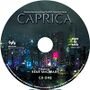 Thumbnail for File:Caprica Series Soundtrack - Disc 1 Art.jpg