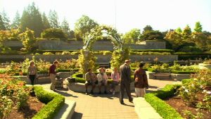 Cloud 9 - Gardens.jpg