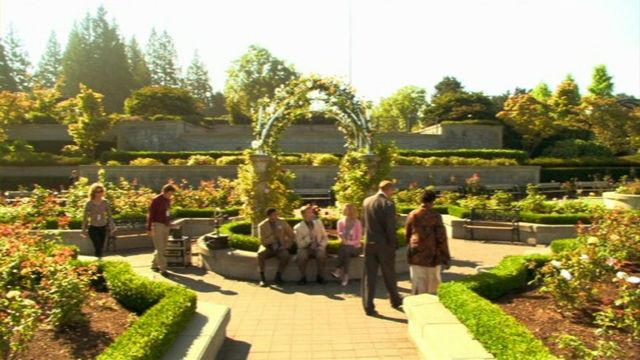 File:Cloud 9 - Gardens.jpg